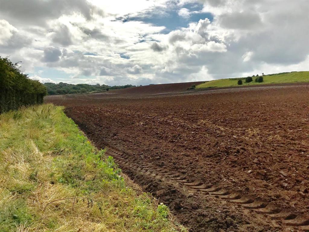 5 Parcels of Arable Land For Sale Farmland Market